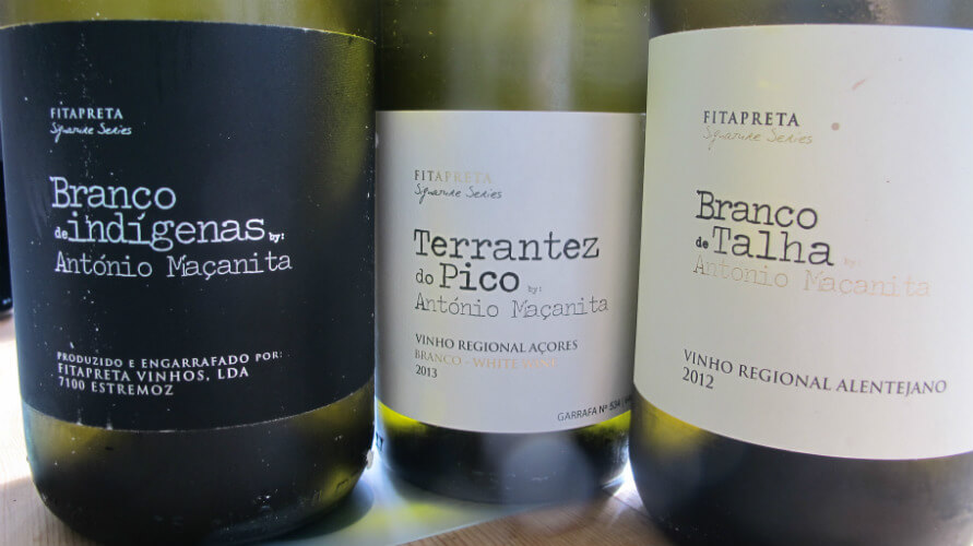 Blend_All_About_Wine_Antonio_Macanita_Monte_Cascas_Valle_Pradinhos