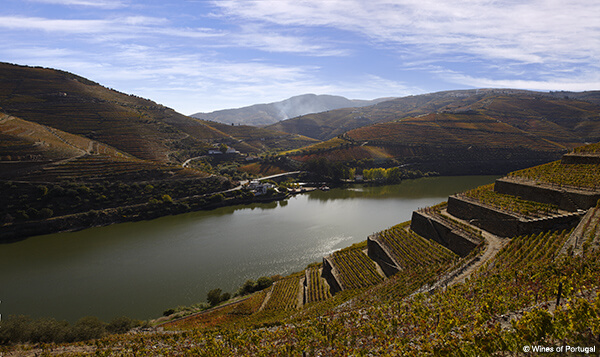 Foto 7 Douro Wines of Portugal