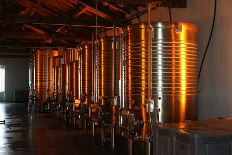 Blend_All_About_Wine_Vinification_Facilities