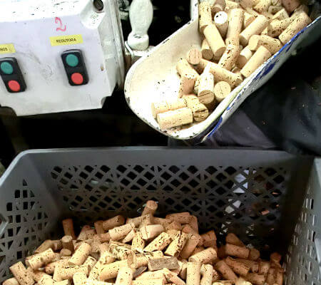 Blend-All-About-Wine-AS - Cork-How-Cork-Are-Produced-Today-First-Stage-of-Cork-Production-2