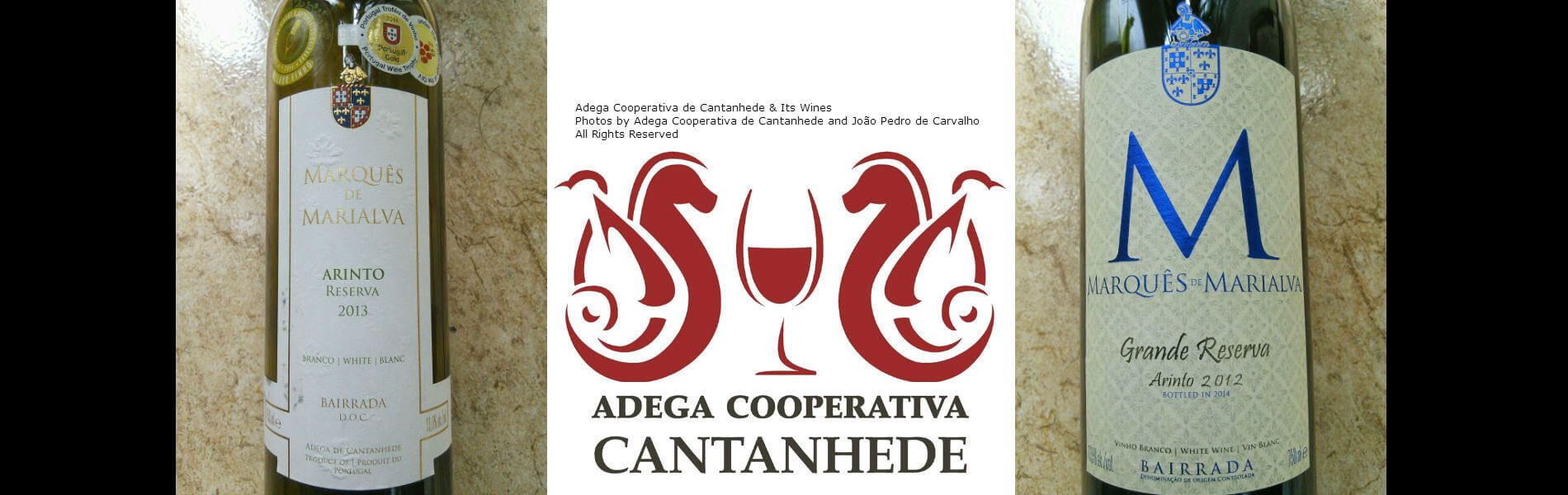Blend-All-About-Wine-Marques-de-Marialva-Adega-de-Cantanhede-Slider-2