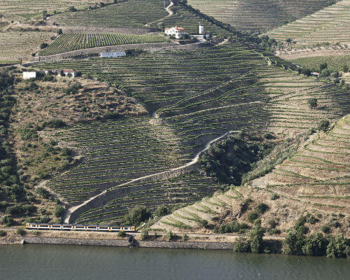 Blend-All-About-Wine-Meant-To-Be-Douro-valley