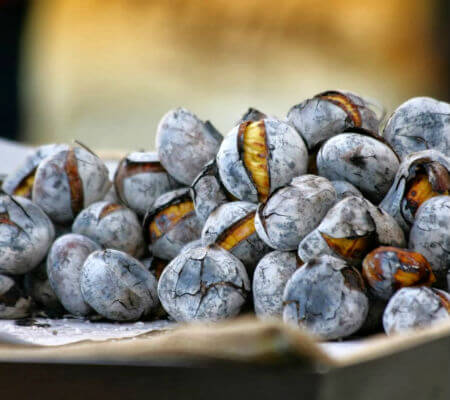 Blend-All-About-Wine-Barão de Vilar LBV 2010-roasted-chestnuts