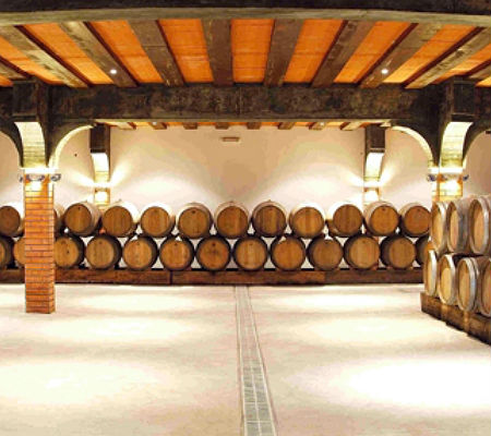 Blend-All-About-Wine-Quinta-de Cabriz-Wine Cellar
