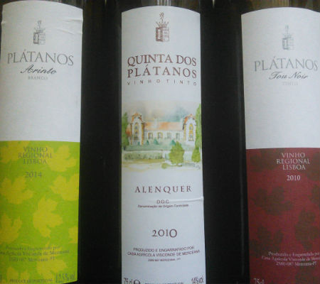 Blend-All-About-Wine-Quinta dos Plátanos-on route of the Classics-the wines