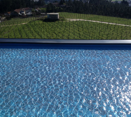 Blend-All-About-Wine-Quinta de Santa Cristina-The vineyards